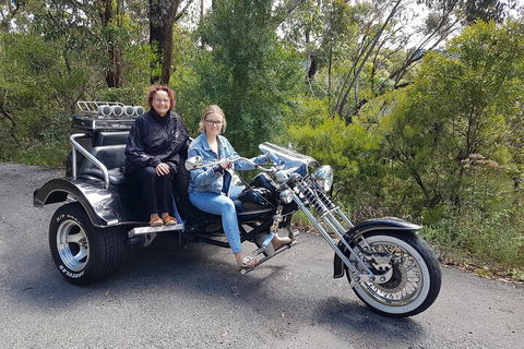 Blue Mountains 1-Hour Trike Tour Of Three Sisters - Accommodation Noosa 1