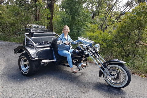 Blue Mountains 1-Hour Trike Tour Of Three Sisters - Accommodation Noosa 4