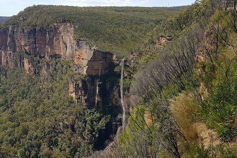 Blue Mountains 1-Hour Trike Tour Of Three Sisters - Accommodation Noosa 5