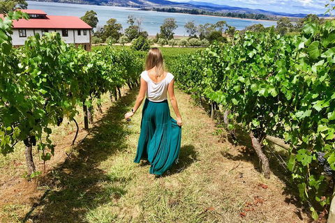 Tamar Valley Wine Tour With Lunch - Accommodation Noosa 2