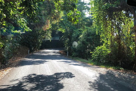 Cairns To Cooktown 4WD Tour - Accommodation Noosa 0