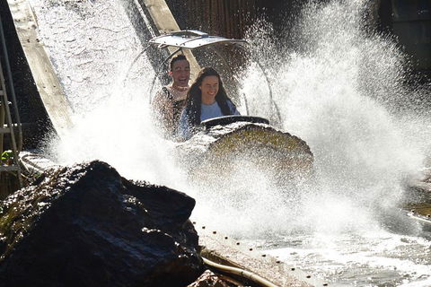 Theme Park Transfer From Brisbane - Accommodation Noosa 1