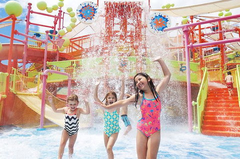 Theme Park Transfer From Brisbane - Accommodation Noosa 3