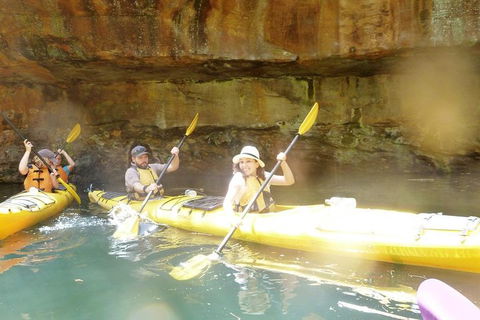 Middle Harbour Mangrove Explorer - Accommodation Noosa 1