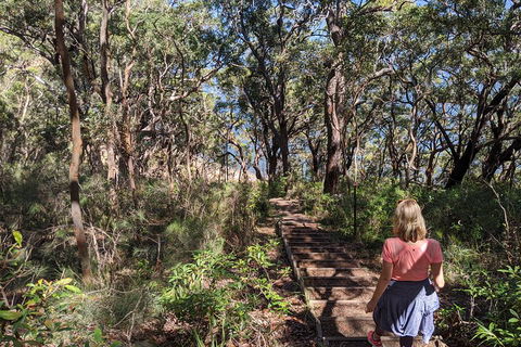 Central Coast Explorer With 'Personalised Sydney Tours' - Accommodation Noosa 4