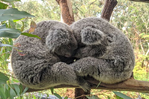 Central Coast Explorer With 'Personalised Sydney Tours' - Accommodation Noosa 5