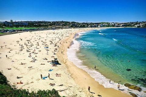Sydney & Bondi Beach Plus Local Secrets With 'Personalised Sydney Tours' - Accommodation Noosa 5