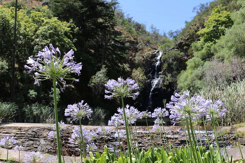 Self-Guided Waterfall Gully To Mount Lofty Hike From Adelaide - Accommodation Noosa 3