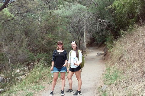 Self-Guided Waterfall Gully To Mount Lofty Hike From Adelaide - Accommodation Noosa 4