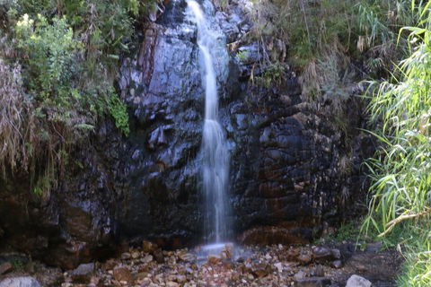 Self-Guided Waterfall Gully To Mount Lofty Hike From Adelaide - Accommodation Noosa 5