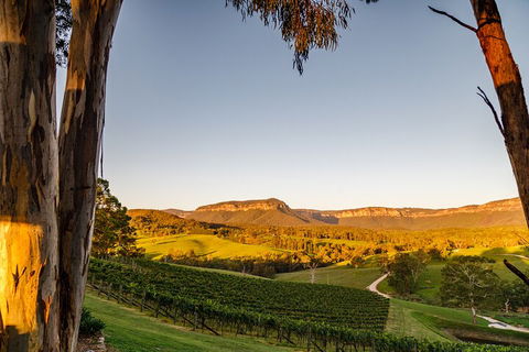 Taste Of The Blue Mountains - Lunch & Wine Tasting, Beer, Cider & Gin Tasting - Accommodation Noosa 1