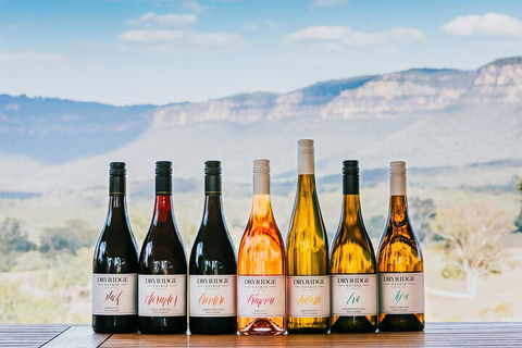 Taste Of The Blue Mountains - Lunch & Wine Tasting, Beer, Cider & Gin Tasting - Accommodation Noosa 3
