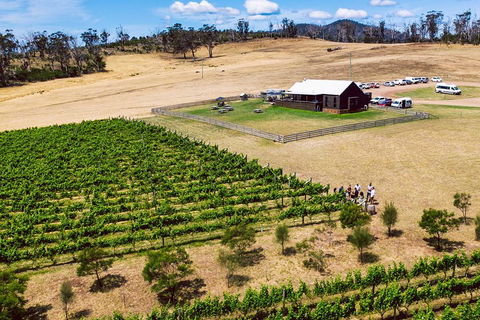 Tasmanian Wine Tour - Accommodation Noosa 3