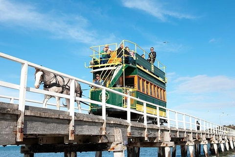 6 Days Adelaide All-Inclusive Touring Package - Accommodation Noosa 2