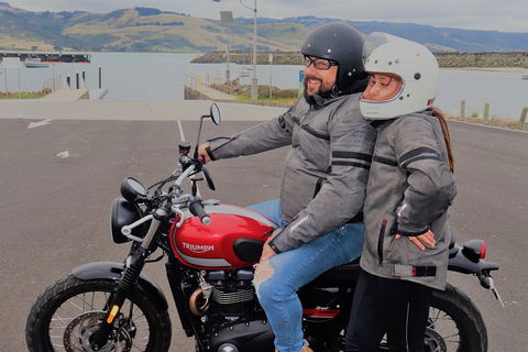 Triumph Street Scrambler 900cc - Accommodation Noosa 1