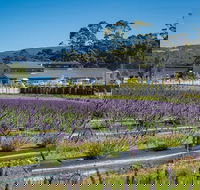 Private Hobart Discover South East Food and Scenic Tour - Accommodation Noosa