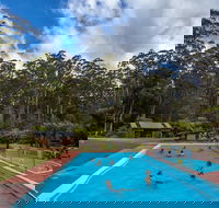 Tahune Airwalk Active Day Trip from Hobart Including Hastings Caves - Accommodation Noosa