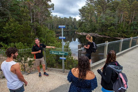 Tahune Airwalk Active Day Trip From Hobart Including Hastings Caves - Accommodation Noosa 1