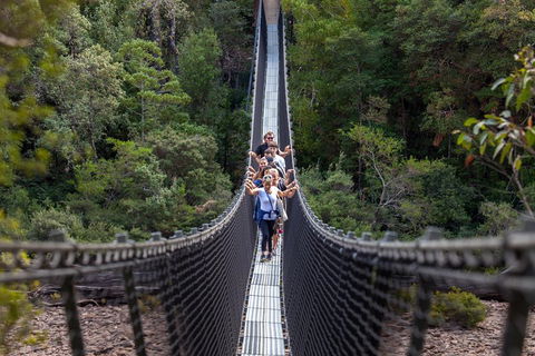 Tahune Airwalk Active Day Trip From Hobart Including Hastings Caves - Accommodation Noosa 3