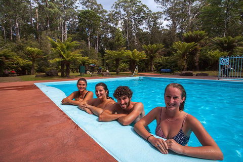 Tahune Airwalk Active Day Trip From Hobart Including Hastings Caves - Accommodation Noosa 5
