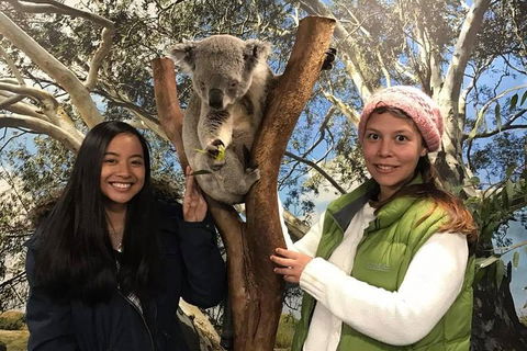Australia Multi-City Attractions Pass - Accommodation Noosa 3