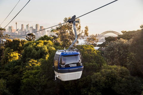 Australia Multi-City Attractions Pass - Accommodation Noosa 5