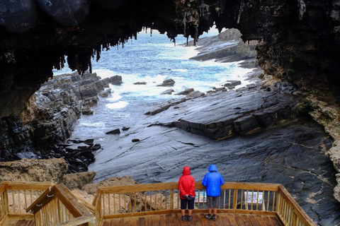 Full-Day Kangaroo Island Safari From Penneshaw - Accommodation Noosa 1