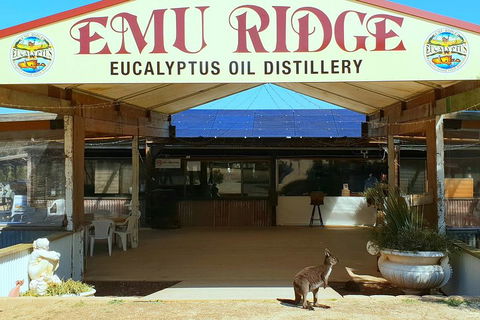 Full-Day Kangaroo Island Safari From Penneshaw - Accommodation Noosa 2