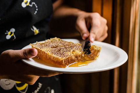 Full-Day Kangaroo Island Safari From Penneshaw - Accommodation Noosa 3