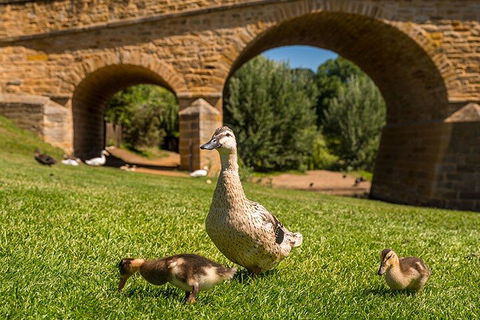 Richmond Historic Afternoon Tour From Hobart - Accommodation Noosa 1