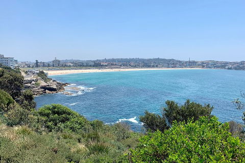 Sydney City, Harbour & Bondi Private Tour, With Airport Pick Up Or Drop Off - Accommodation Noosa 5