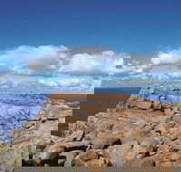 4 Day Tour Albany Margaret River Valley of the Giants TreeTop Walk from Perth - Accommodation Noosa