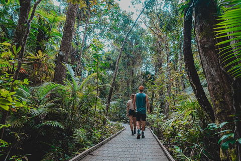 Full Day Cooktown Private Tour - Accommodation Noosa 0