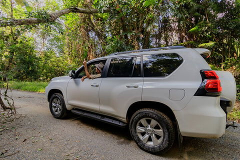 Full Day Cooktown Private Tour - Accommodation Noosa 3