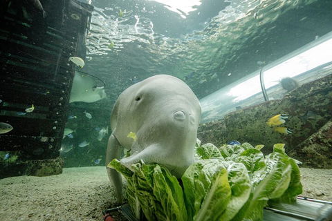 SEA LIFE Sydney Aquarium Entrance Ticket - Accommodation Noosa 2