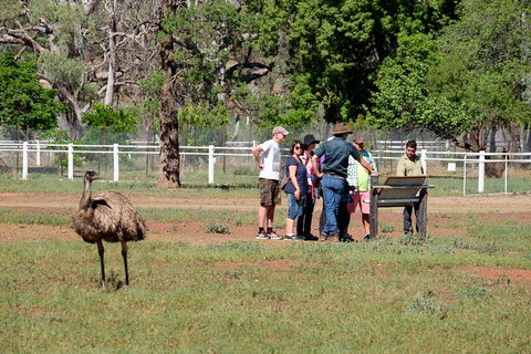 Yura Udnyu - Our Culture, Your Culture (Aboriginal Cultural Walk) - Accommodation Noosa 1