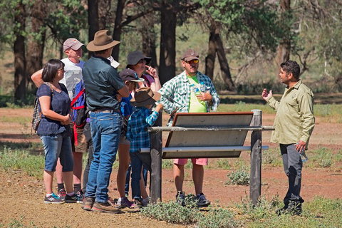 Yura Udnyu - Our Culture, Your Culture (Aboriginal Cultural Walk) - Accommodation Noosa 2