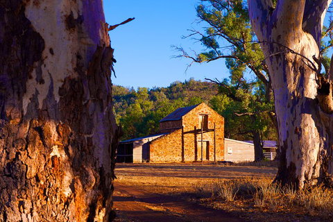 Yura Udnyu - Our Culture, Your Culture (Aboriginal Cultural Walk) - Accommodation Noosa 4
