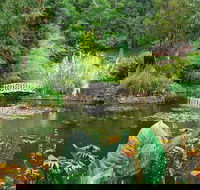 Hobart Half-Day Sightseeing Coach Tram Tour - Accommodation Noosa