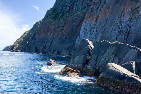 Southern Ocean Adventure From Victor Harbor - Accommodation Noosa 3