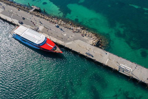Rottnest Island Round-Trip Ferry From Perth Or Fremantle - Accommodation Noosa 1