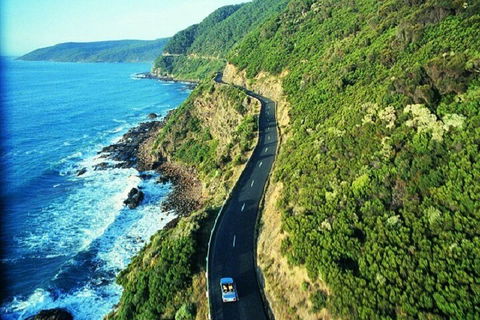 Melbourne Super Saver: Great Ocean Road + Mornington Peninsula + Attraction Pass - Accommodation Noosa 0