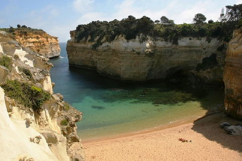Melbourne Super Saver: Great Ocean Road + Mornington Peninsula + Attraction Pass - Accommodation Noosa 3