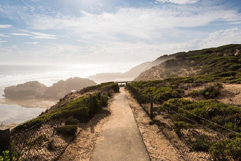 Melbourne Super Saver: Great Ocean Road + Mornington Peninsula + Attraction Pass - Accommodation Noosa 4