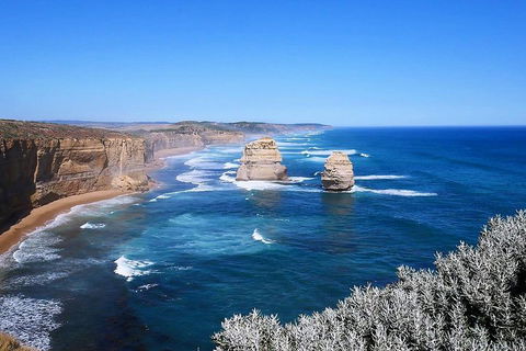 Melbourne Super Saver: Great Ocean Road + Wilsons Promontory + Attraction Pass - Accommodation Noosa 5