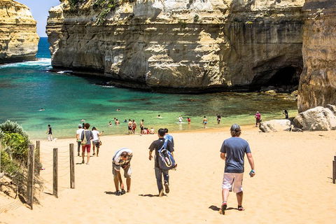 Small-Group Great Ocean Road Classic Day Tour From Melbourne - Accommodation Noosa 5