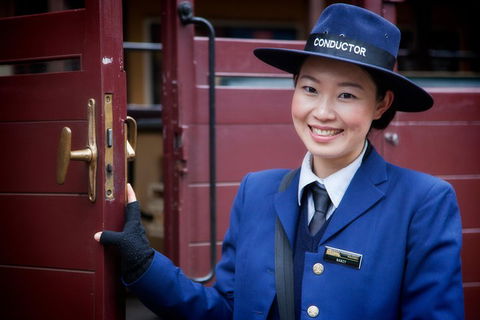 Puffing Billy, Moonlit Sanctuary & Penguins Day Tour - Accommodation Noosa 1