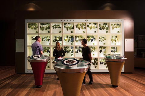 Australian Wine Discovery Tour With Tastings - Accommodation Noosa 4