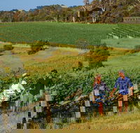 10 Day Perth to Adelaide Private Tour - The Great Australian Wilderness Journey - Accommodation Noosa