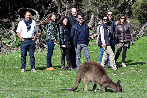 2-Day Kangaroo Island 4WD Small-Group Tour From Adelaide - Accommodation Noosa 1
